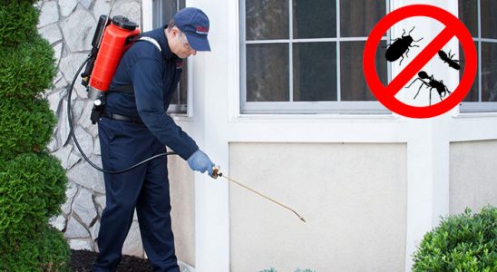 Fethiye Akrep İlaçlama böcek ilaçlama ve haşere kontrolü — ilaclama-tr.com